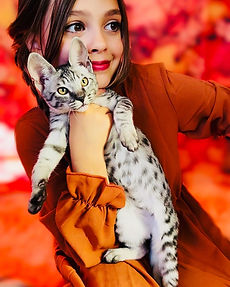 Contact Us | TICA Registered Savannah Cats